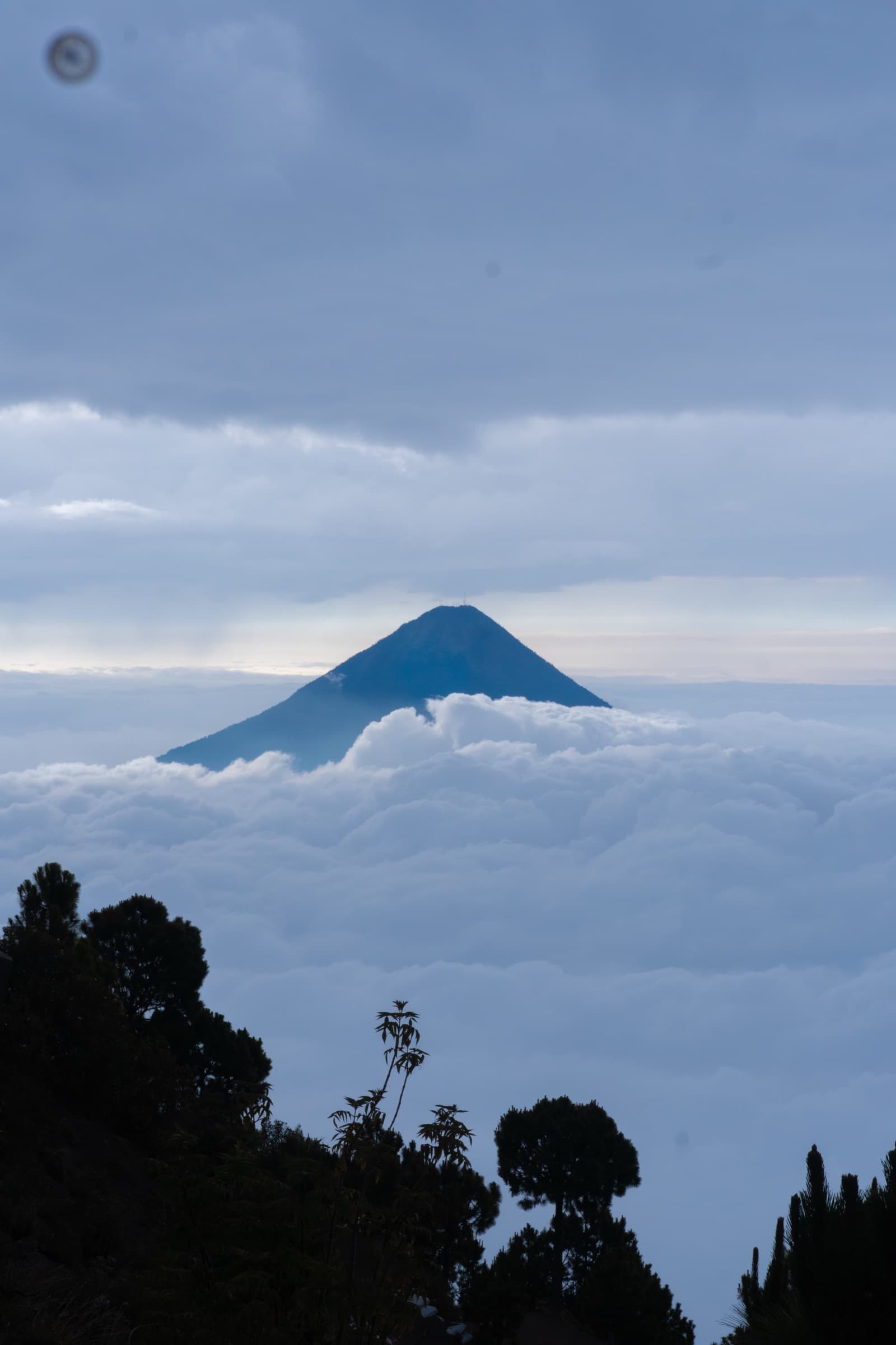 A volcano's cone rising out of a flat sea of cloud, seen over silhouetted treetops