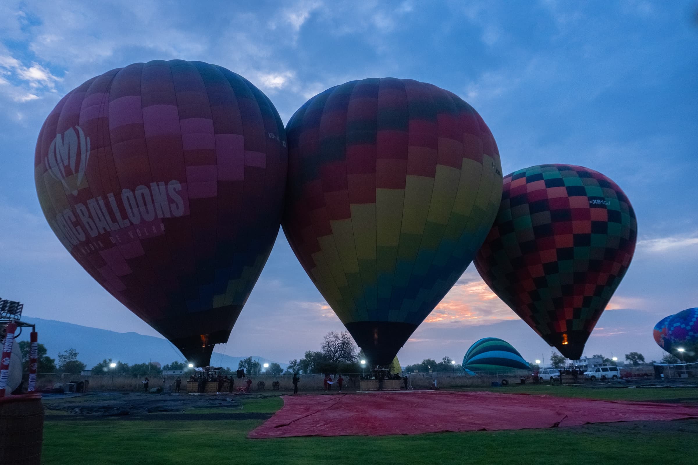 Three hot air balloons inflated on a field at blue hour, waiting to launch